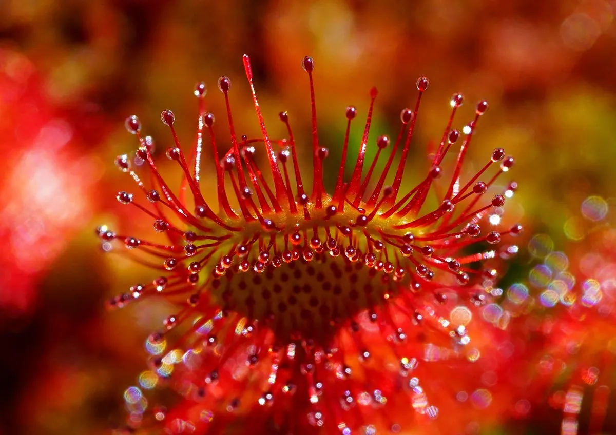 Best Grow Lights for Basil on a Budget: What to Look For